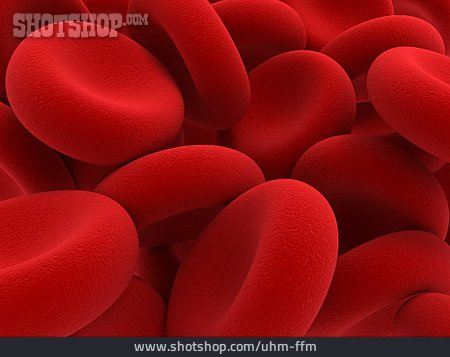 
                Rote Blutkörperchen, Thrombozyten, Blutkörperchen                   