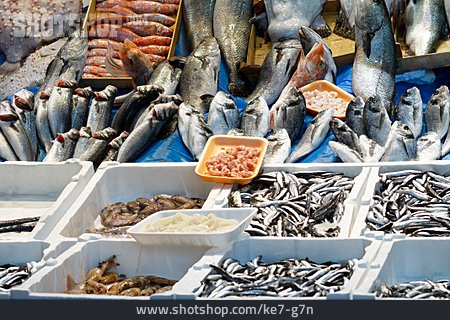 
                Fischmarkt, Frischfisch                   