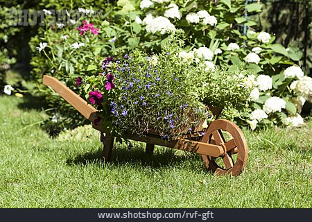 
                Blume, Schubkarre, Gartendekoration, Holzkarren                   