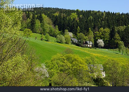
                Erzgebirge, Muldental                   