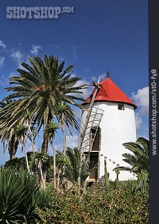 
                Lanzarote, Windmühle                   