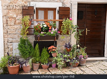 
                Blumenkasten, Blumenfenster, Blumendekoration                   