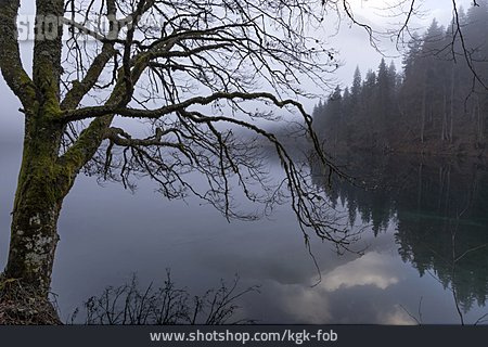
                Bergsee, Weißenfelser See, Laghi Di Fusine                   
