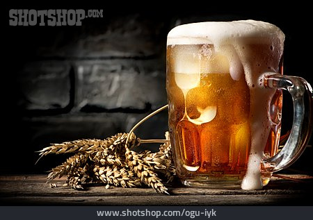 
                Bier, Bierschaum, Lagerbier                   