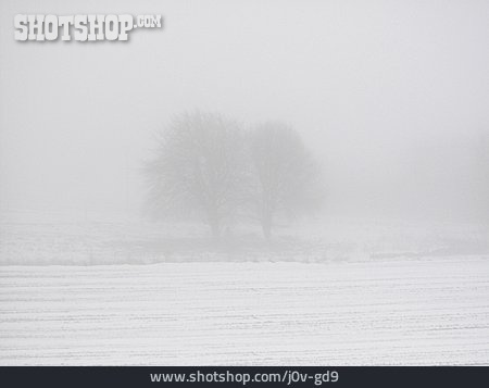 
                Winterlandschaft, Silhouette                   