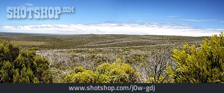 
                Busch, Australien, Flinders Chase Nationalpark                   