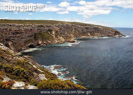 
                Steilküste, Känguru-inseln, Cape Du Couedic                   