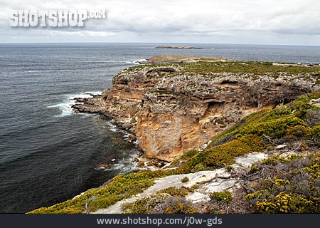 
                Steilküste, Känguru-inseln, Cape Du Couedic                   