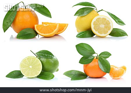 
                Obst, Vitamin C, Zitrusfrucht                   