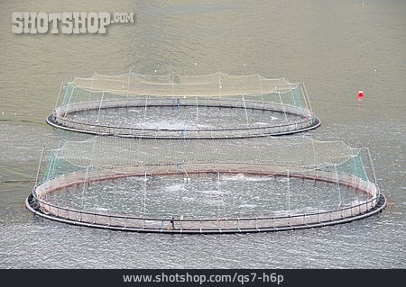 
                Fischzucht, Aquakultur                   