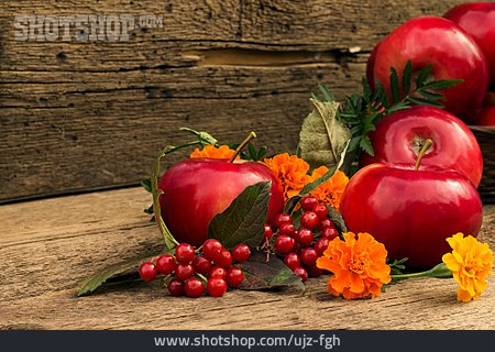 
                Obst, Apfel, Herbstlich, Erntedank                   