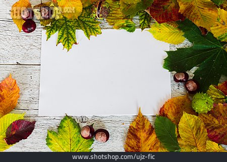 
                Textfreiraum, Hintergrund, Herbstlaub                   