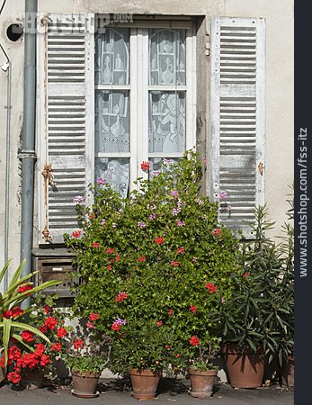 
                Fenster, Blumenschmuck, Provence                   