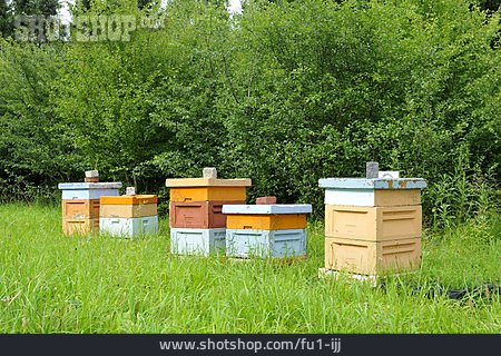 
                Bienenstock, Bienenzucht                   