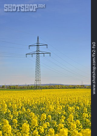 
                Rapsfeld, Alternative Energie, Stromleitungen                   