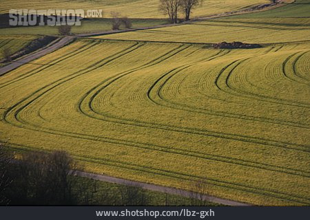 
                Feld, Landwirtschaft, Deutschland                   