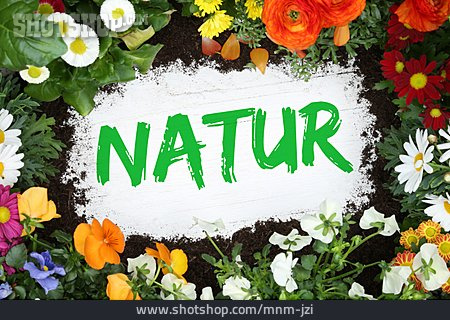 
                Natur, Blüten                   