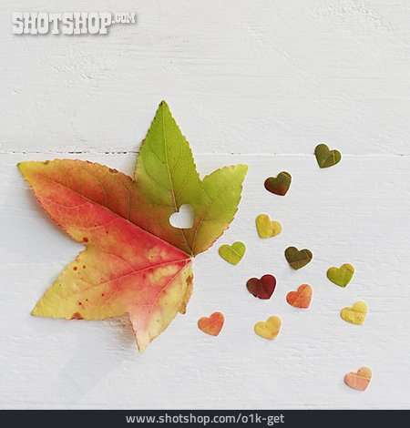 
                Ahornblatt, Herzchen, Herbstblatt                   
