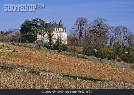 
                Weinberg, Burgund, Chateau                   