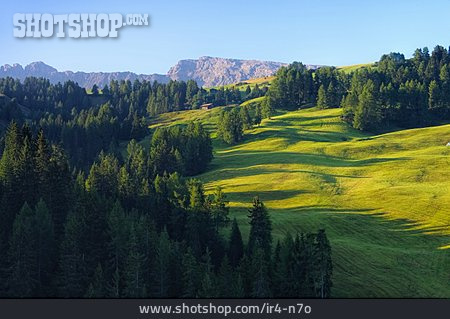 
                Schlern, Südtiroler Dolomiten, Seiser Alm                   