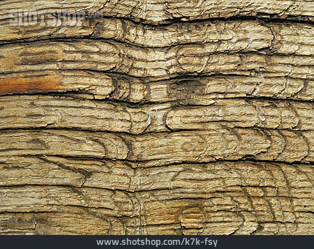 
                Textur, Holz, Eichenholz                   