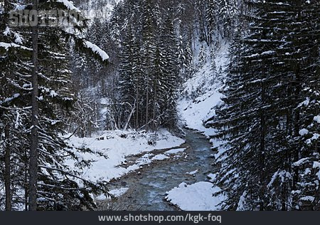 
                Gebirgsbach, Slowenien, Winterwald                   