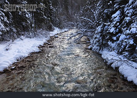 
                Naturschutz, Gebirgsbach, Nationalpark Triglav                   