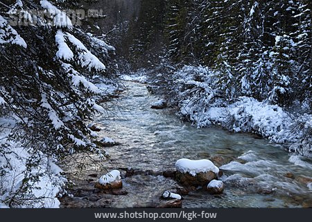 
                Wildbach, Slowenien, Winterwald                   