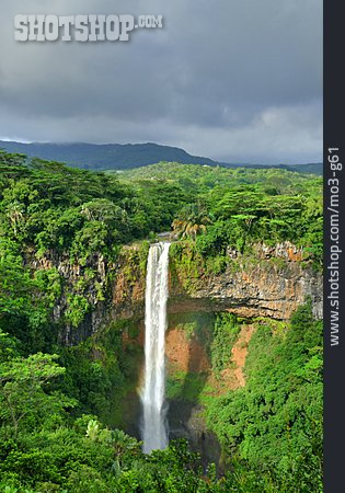 
                Wasserfall, Urwald, Mauritius                   