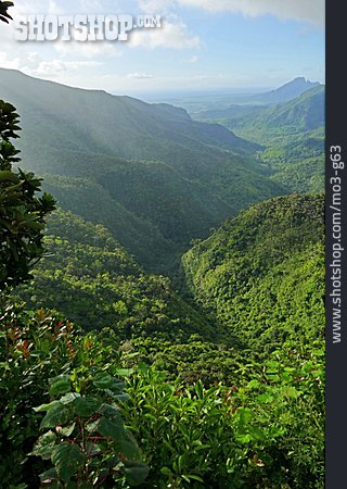 
                Urwald, Mauritius, Black-river-gorge-nationalpark                   
