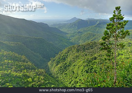 
                Urwald, Mauritius, Black-river-gorge-nationalpark                   