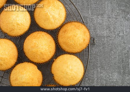 
                Muffins                   