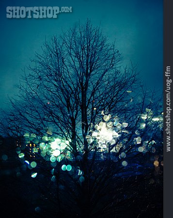 
                Baum, Blaue Stunde, Lichtpunkte                   