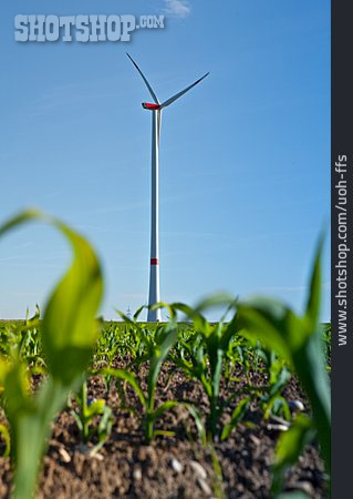 
                Windenergie, Erneuerbare Energie, Klimawandel                   