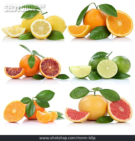 
                Orangen, Grapefruit, Blutorange, Zitronen, Limetten                   