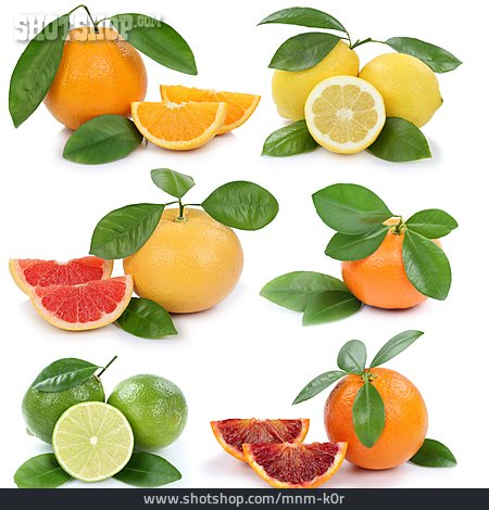 
                Orangen, Grapefruit, Blutorange, Collage, Zitronen                   