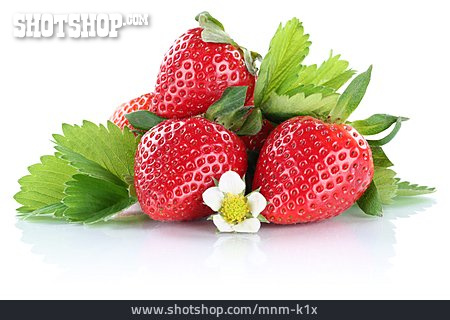 
                Erdbeeren, Erdbeerblüte                   