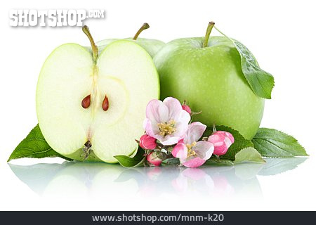 
                Granny Smith, Grüner Apfel                   