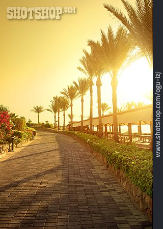 
                Promenade, Abendlicht, Sharm El Sheikh                   