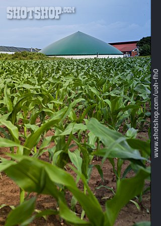 
                Biogas, Biogasanlage                   