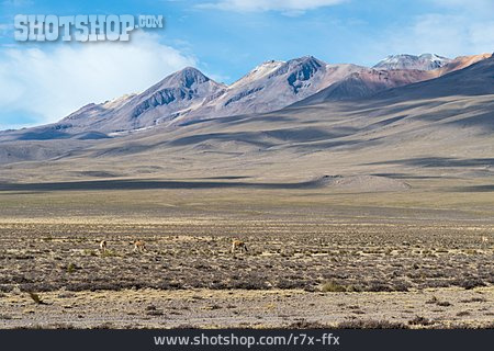 
                Wüste, Berglandschaft, Peru                   