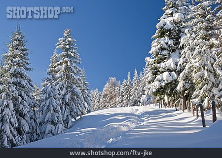 
                Winterlandschaft, Oberbayern                   