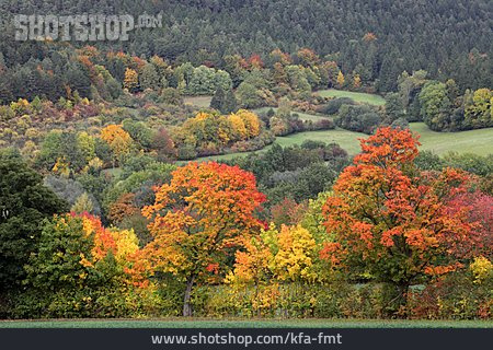 
                Herbstlandschaft, Herbstfärbung                   