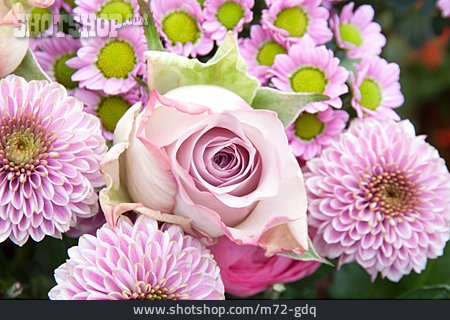 
                Rosa, Blumenstrauß, Hochzeitsstrauß                   