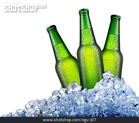
                Erfrischung, Alkohol, Bier                   