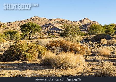 
                Namibia, Huib-plateau                   