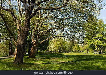 
                Stadtpark, Jena, Volkspark Oberaue                   