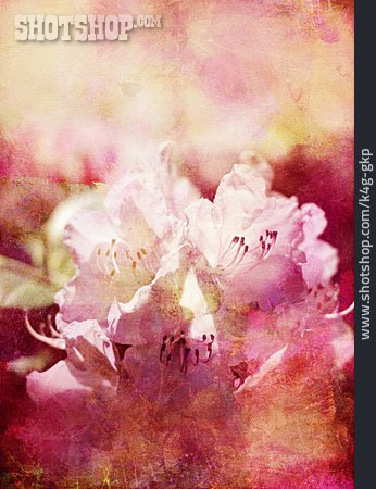 
                Rhododendron, Malerei, Leinwand                   