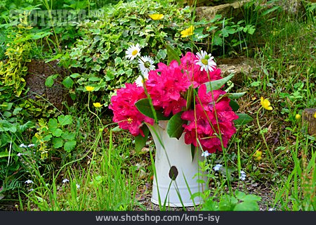 
                Rhododendron, Blumenstrauß, Shabby Chic                   