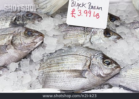 
                Fisch, Angebot, Brasse                   